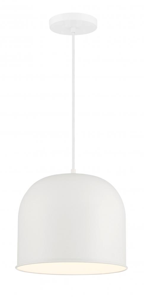 VANTAGE PENDANTS - 1 LIGHT PENDANT