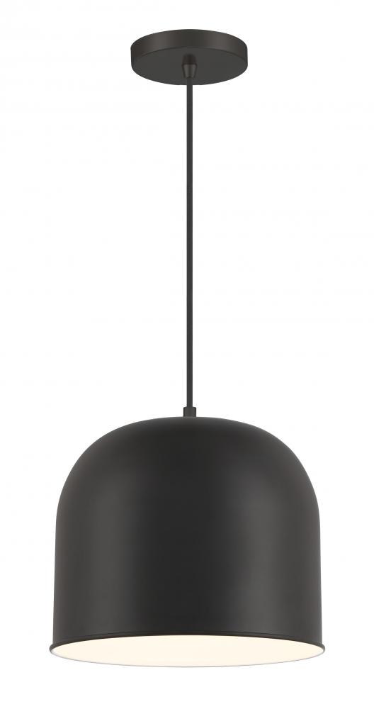 VANTAGE PENDANTS - 1 LIGHT PENDANT