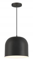 Minka-Lavery 6202-66A - VANTAGE PENDANTS - 1 LIGHT PENDANT