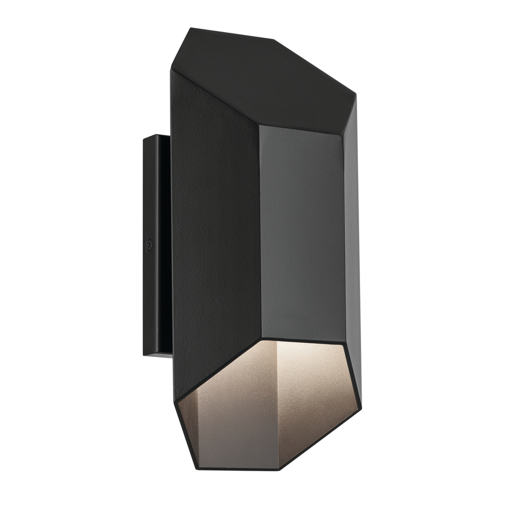 Estella 12" LED 1-Light Outdoor Wall Light in Black