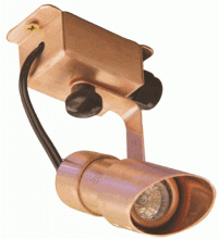 Focus Industries (Fii) SL-29-BRS - Brass Outdoor Directional Light