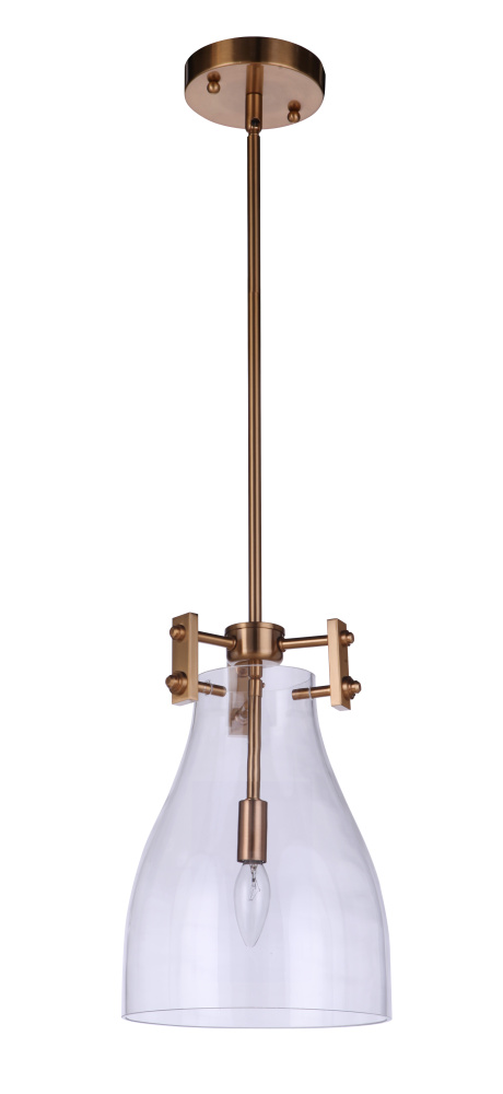 1 Light Pendant