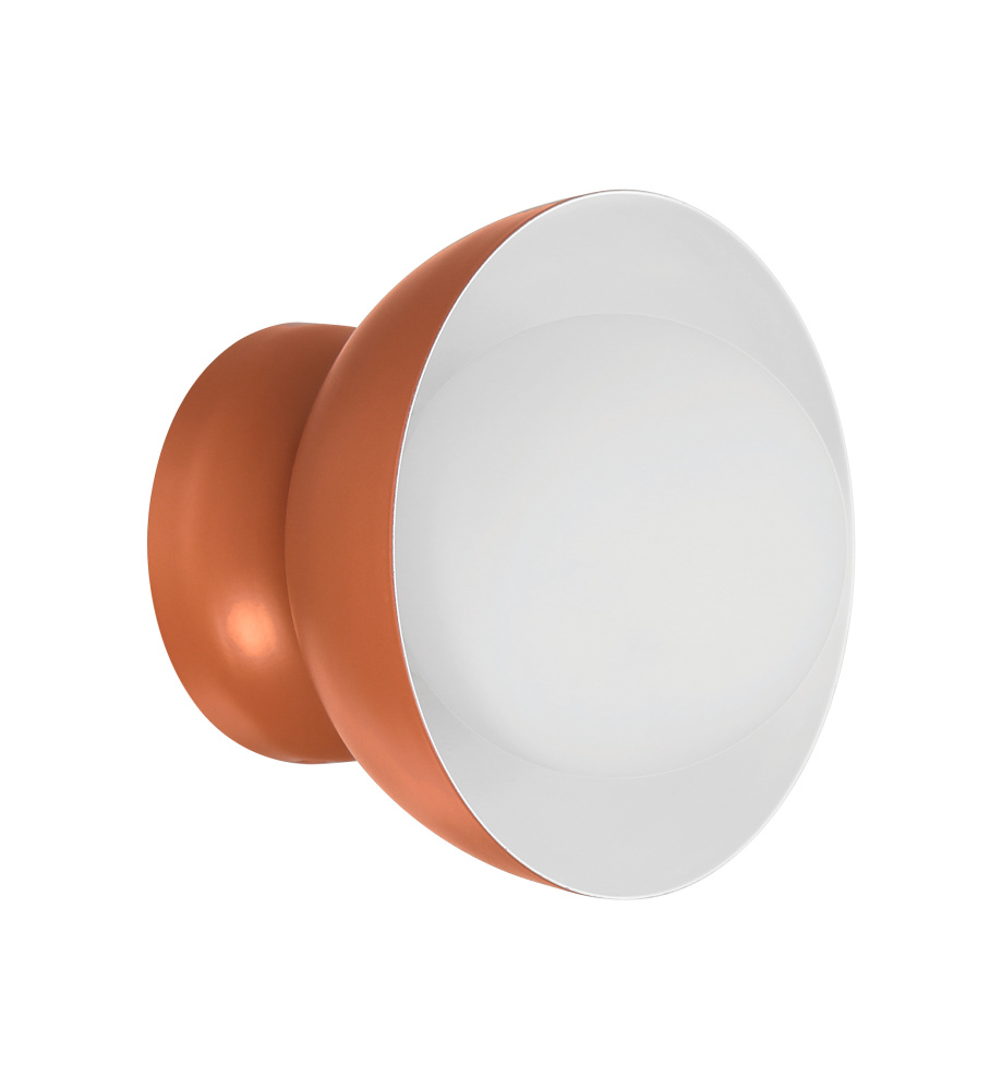 1 Light Wall Sconce
