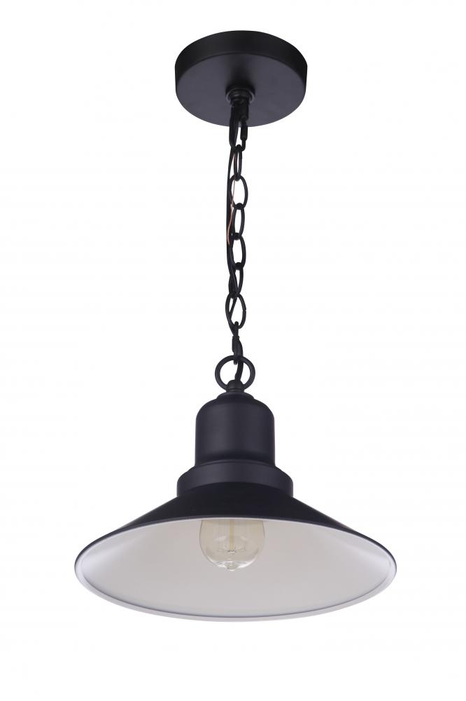 1 Light Pendant