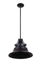 Craftmade Z4401-MN - Small Pendant