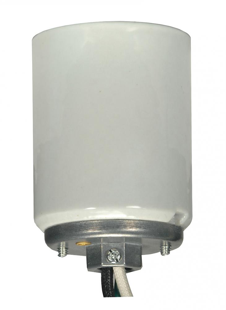 Mogul lamp socket; Porclean; Glazed finish; 1/4 Cap with 20in. leads