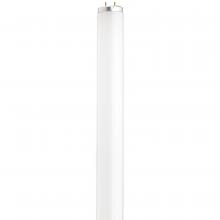 Satco Products Inc. S26560 - 14 Watt; T12 Preheat Fluorescent; 6500K Daylight; 80 CRI; Medium Bi Pin
