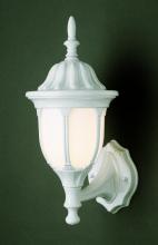 Trans Globe 4040 WH - 1LT WALL-SML-OUTD-OPAL GLASS