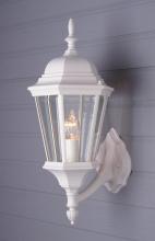 Trans Globe 4250 WH - 1LT LRG UP WALL BRACKET