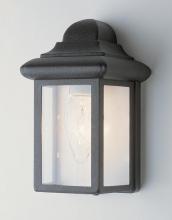 Trans Globe 44835 RT - 1LT WALL-POCKET-OUTD-MINI-CLEA