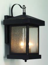 Trans Globe 45641 WB - 2LT WALL-DOWN-SEEDED GLASS