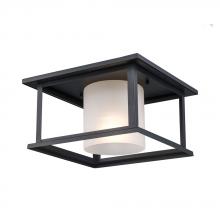 Trans Globe 51405 BK - 1LT OUTD FLUSH-FROSTED INNER C