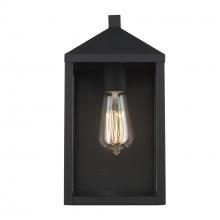 Trans Globe 51530 BK - 1LT WALL-6" CLEAR GLASS-BK