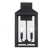 Trans Globe 51531 BK - 2LT WALL-8" CLEAR GLASS-BK