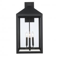 Trans Globe 51533 BK - 3LT WALL-12" CLEAR GLASS-BK