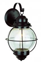 Trans Globe 69904 BK - 1 LT LARGE WALL-OUTDOOR-ONION