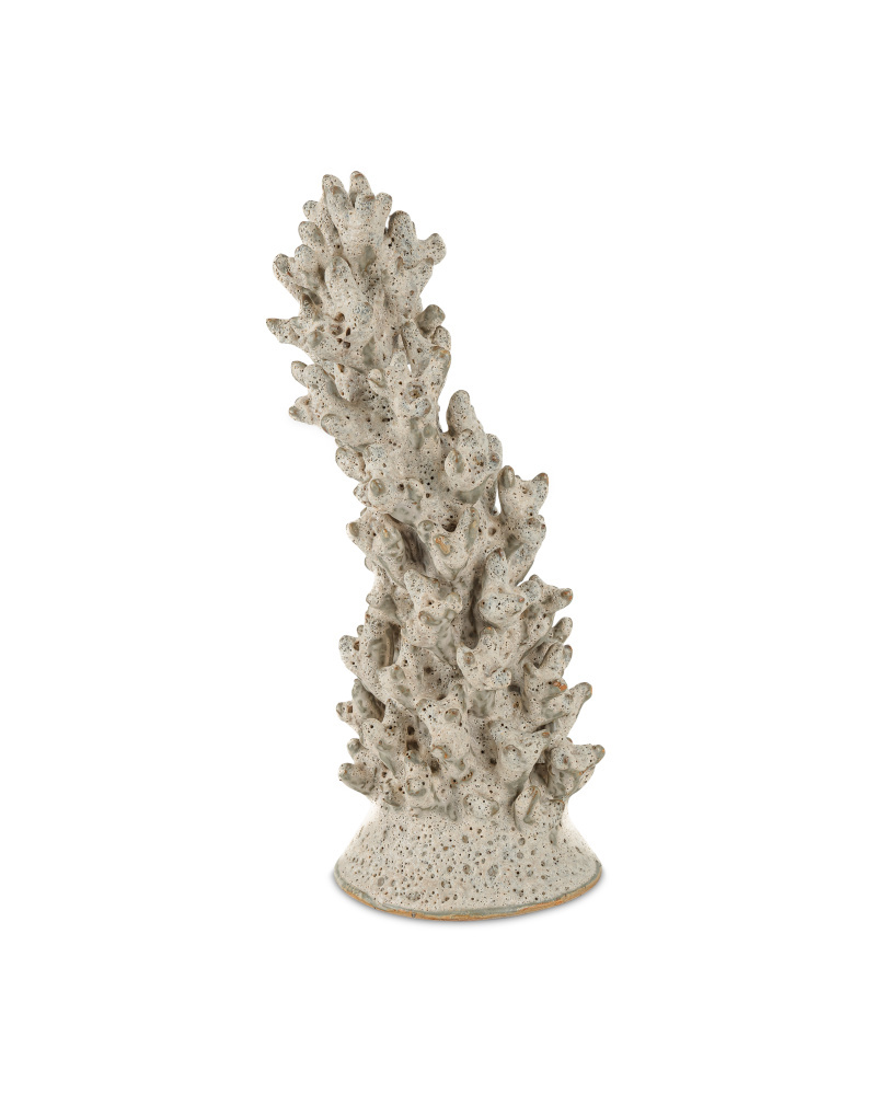 Staghorn White Coral Object